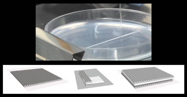 3d-printed-cells