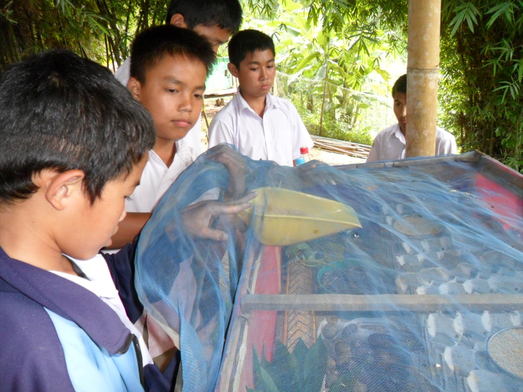 TLC-students-feeding-cricket-farm