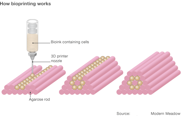 how bioprinting works