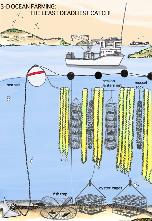 vertical seaweed garden